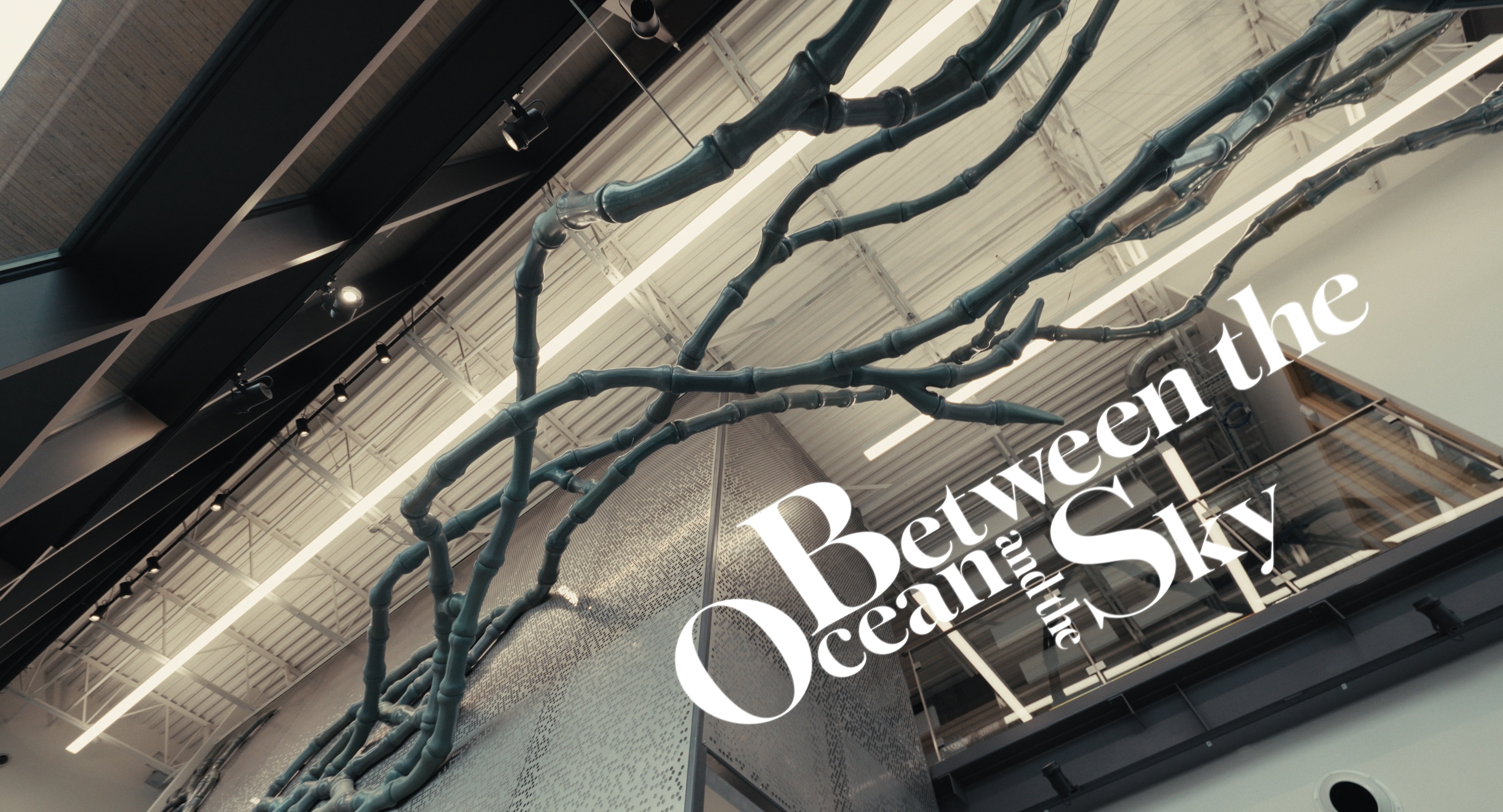 Between the Ocean and the Sky