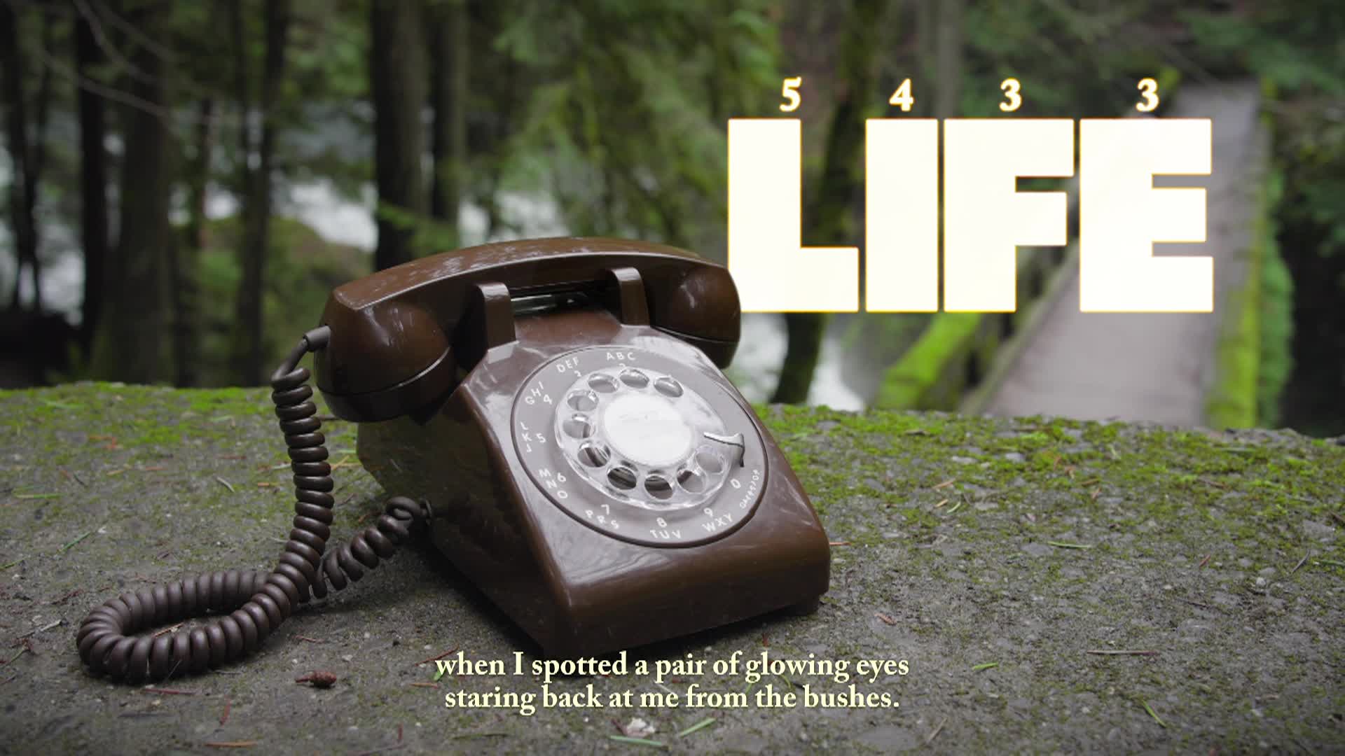 A rotary phone sits on a wall in front of Whatcom Falls.